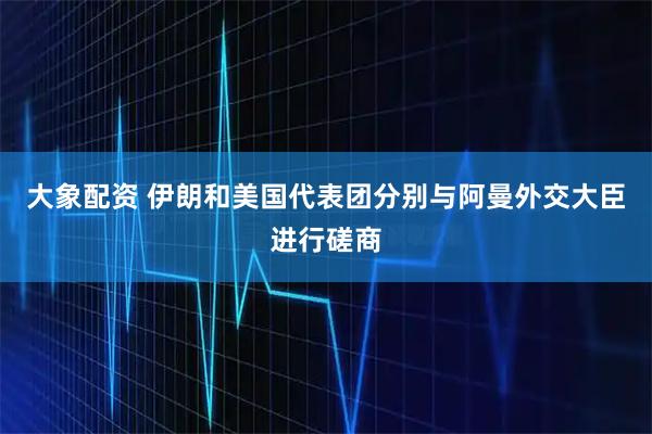 大象配资 伊朗和美国代表团分别与阿曼外交大臣进行磋商