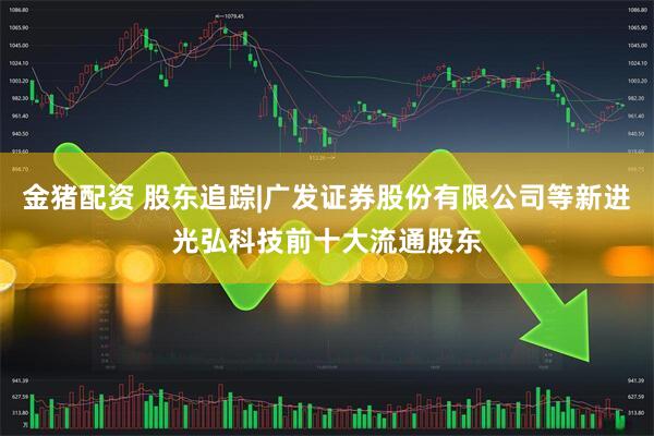 金猪配资 股东追踪|广发证券股份有限公司等新进光弘科技前十大流通股东