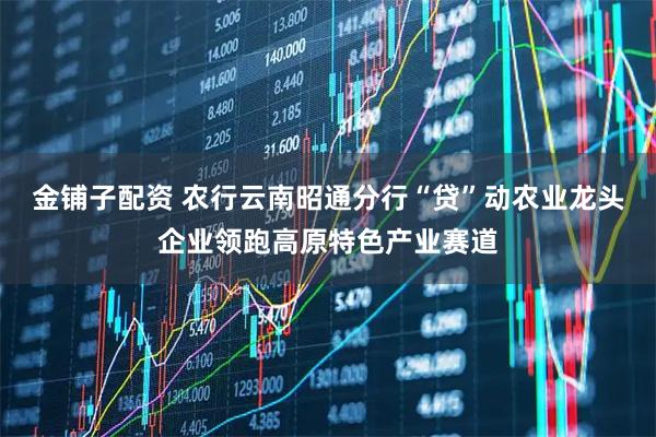 金铺子配资 农行云南昭通分行“贷”动农业龙头企业领跑高原特色产业赛道