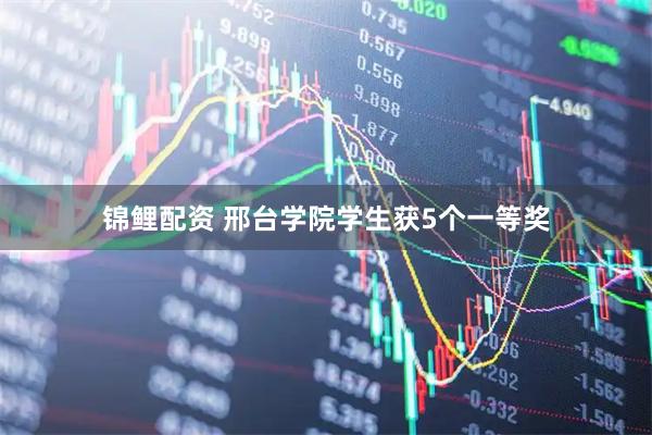 锦鲤配资 邢台学院学生获5个一等奖