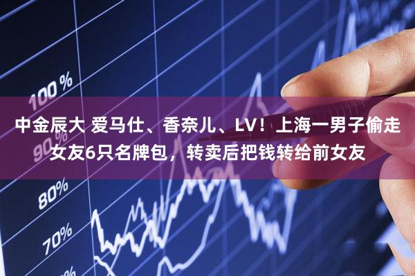 中金辰大 爱马仕、香奈儿、LV!上海一男子偷走女友6只名牌包,转卖后把钱转给前女友