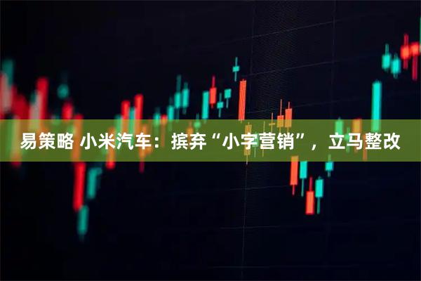 易策略 小米汽车：摈弃“小字营销”，立马整改