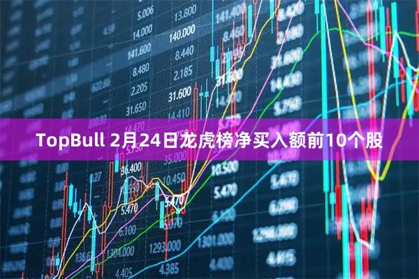 TopBull 2月24日龙虎榜净买入额前10个股